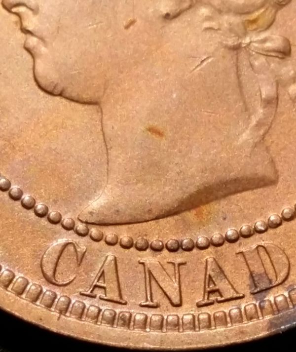 1882-H-C2/C1-Large-Cent?